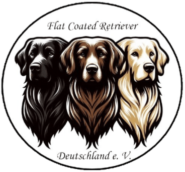 Flatcoated Retriever Club Deutschland – Leidenschaft für Retriever & Zucht