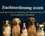 Banner zur Zuchtordnung 2026 der Alliance Cynologie International ACI e.V. mit Fokus auf verantwortungsvolle Hundezucht. mit Copilot erstellt.
