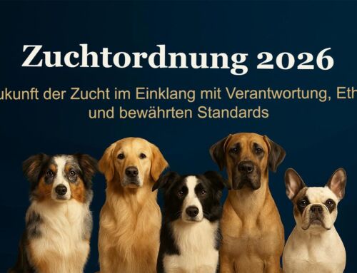 Neue Zuchtordnung 2026 beim ACI beschlossen – das ändert sich