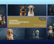 Banner zur Zuchtordnung 2026 der Alliance Cynologie International ACI e.V. mit Fokus auf verantwortungsvolle Hundezucht. mit Canva erstellt.