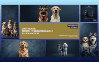 Banner zur Zuchtordnung 2026 der Alliance Cynologie International ACI e.V. mit Fokus auf verantwortungsvolle Hundezucht. mit Canva erstellt.