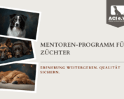 Banner zum ACI Mentoren-Programm für Züchter mit verschiedenen Hunderassen und Fokus auf Unterstützung und verantwortungsvolle Zucht