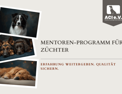 Mentoren-Programm ACI