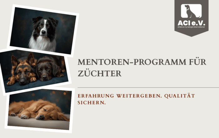 Banner zum ACI Mentoren-Programm für Züchter mit verschiedenen Hunderassen und Fokus auf Unterstützung und verantwortungsvolle Zucht