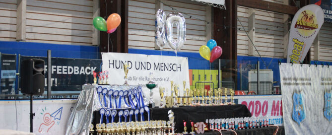 Pokaltisch mit Siegerpokalen und 30-Jahre-Luftballons bei der ACI Tandem-Rassehunde-Ausstellung 2026 in Waldbronn.