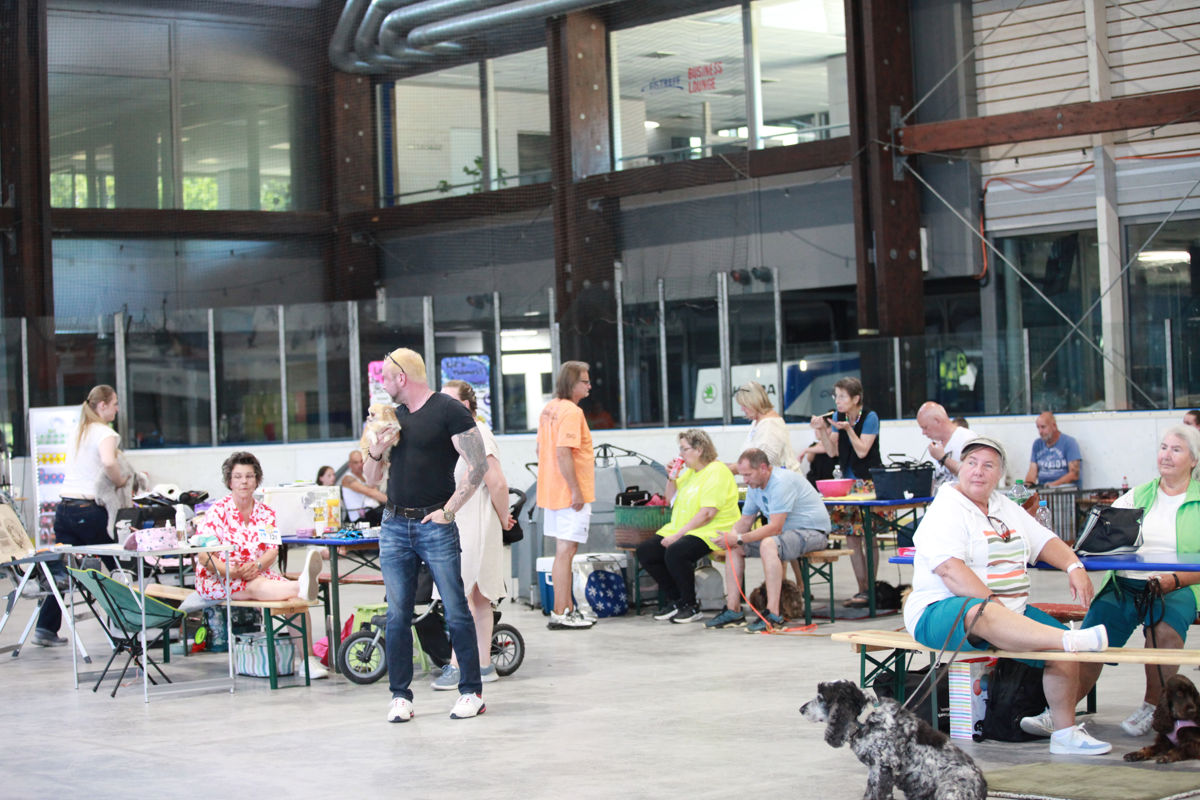 Aussteller, Besucher und Hunde genießen die entspannte Atmosphäre der Internationalen ACI Tandem-Rassehunde-Ausstellung 2026 in Waldbronn.