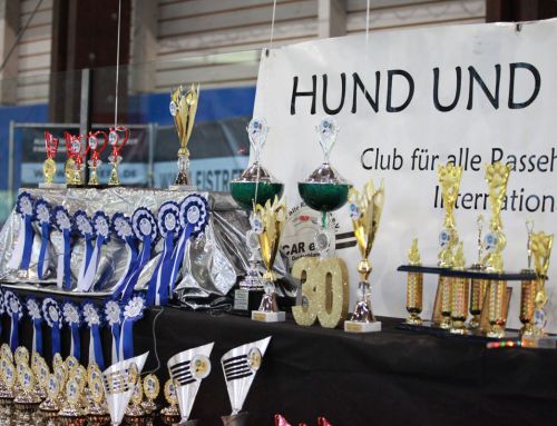 Siegerliste – ACI All Star Dog Show (ASDS) & Bundes Sieger Schau (BSS) 04.07.2026