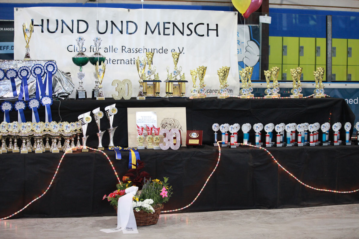 30 Jahre CAR e.V. – Jubiläumsdekoration und Siegerpokale 2026 Siegerpokale mit 30-Jahre-Dekoration des CAR e.V. bei der Internationalen ACI Tandem-Rassehunde-Ausstellung 2026.