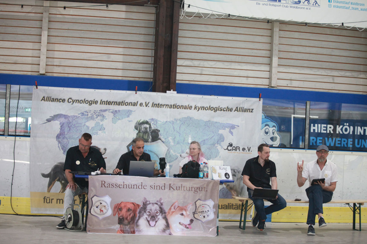 Die Bewertungskommission während der Best of-Abstimmung der ACI Tandem-Rassehunde-Ausstellung 2026 mit den Richtern Menich, Richteranwärter Reimer, Mandy Urban, Artin Keshani und Alex Kohout.