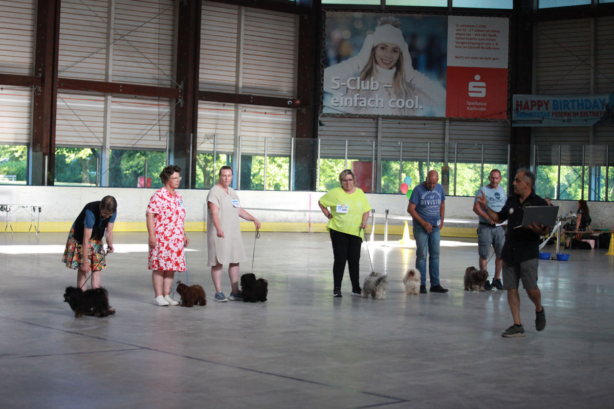 Finalisten des Wettbewerbs Best of Bolonka Zwetna präsentieren ihre Hunde im Ehrenring der ACI Tandem-Rassehunde-Ausstellung 2026.