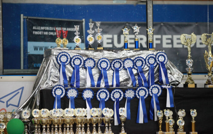 Rosetten, Siegerpokale und Ehrenpreise der Weltsieger Schau und des German Champion Cup 2026 bei der ACI Tandem-Rassehunde-Ausstellung.
