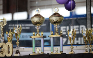 Best in Show Wanderpokale und Siegerpokale der Weltsieger Schau und des German Champion Cup 2026 bei der ACI Tandem-Rassehunde-Ausstellung.