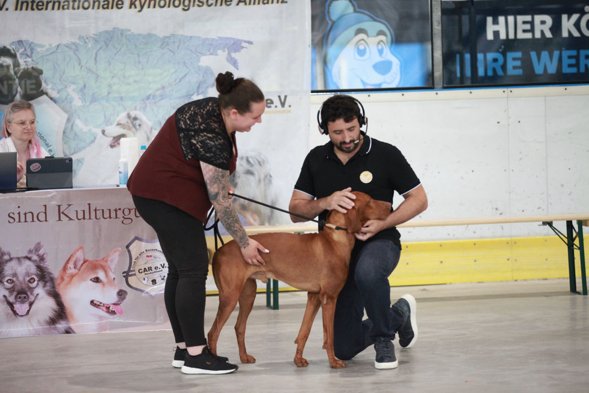 Richter Pietro D’Alto bei der Weltsieger Schau 2026 Richter Pietro D'Alto beurteilt einen Rhodesian Ridgeback während der Weltsieger Schau 2026 der Alliance Cynologie International e.V.