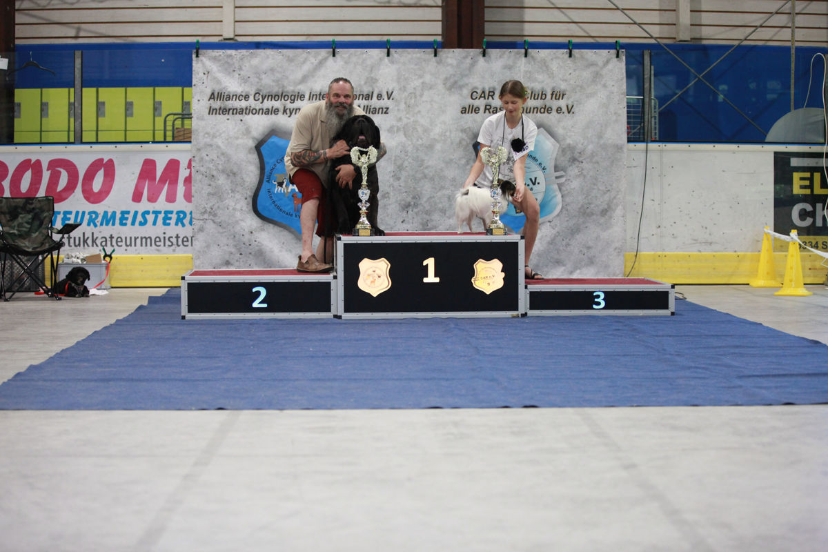 Best in Show des German Champion Cup 2026 mit den gemeinsamen Siegern Mastino Napoletano Bruno Angelo und Papillon Universe my Fantasie auf dem Siegerpodest der ACI Tandem-Rassehunde-Ausstellung.